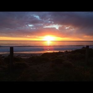 Meet your Posher, Elysha